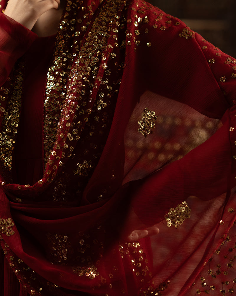 Dilara Begum — Chiffon Pishwas & Dupatta