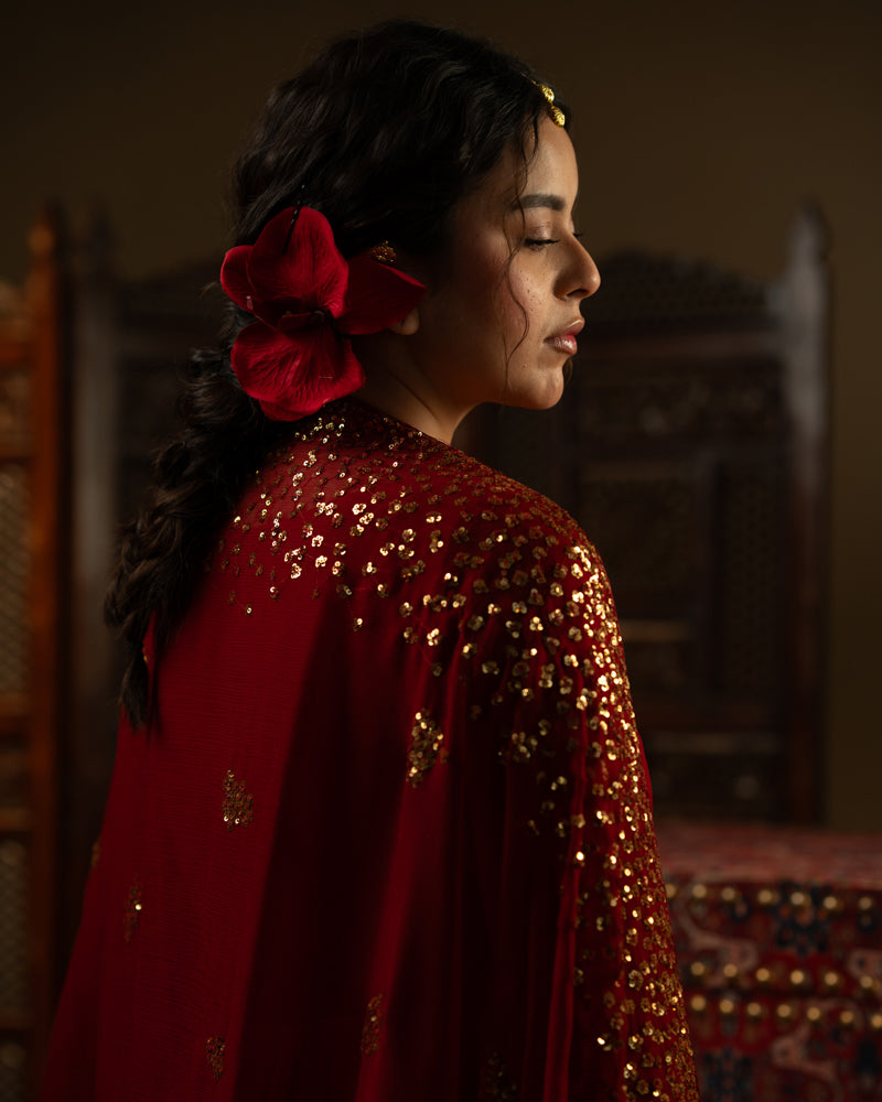 Dilara Begum — Chiffon Pishwas & Dupatta